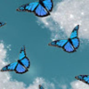 Meet your Posher, Ava